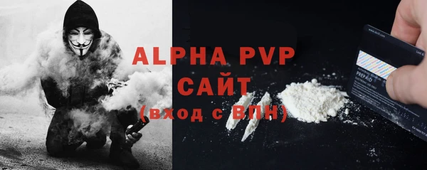 сатива Магас
