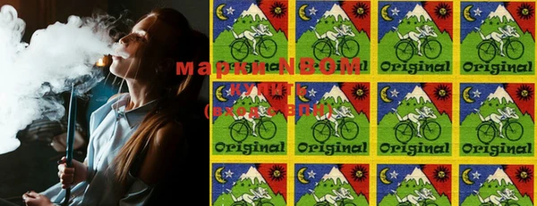 сатива Магас
