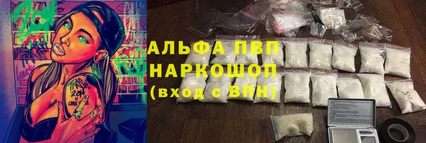 сатива Магас