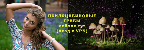 индика Магадан