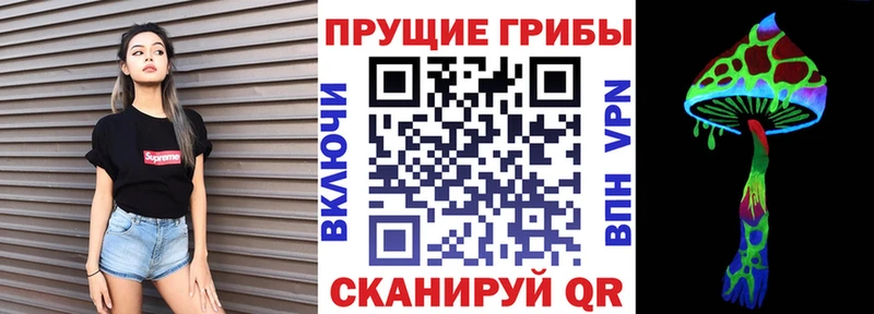 купить   ссылка на мегу вход  Псилоцибиновые грибы MAGIC MUSHROOMS  Стародуб 